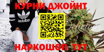 МДПВ Сланцы