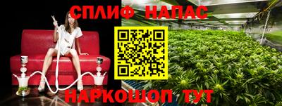 мдма Славгород